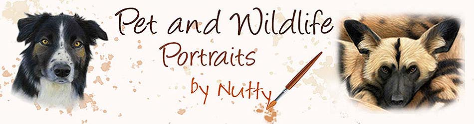 Pet and Wildlife Portraits by Nutty